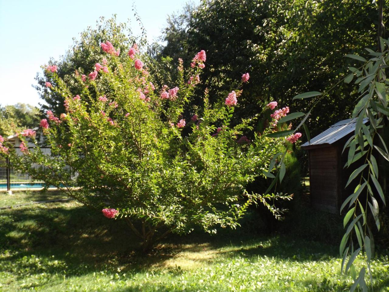 Cabanas Aguas Claras Pinto Екстериор снимка